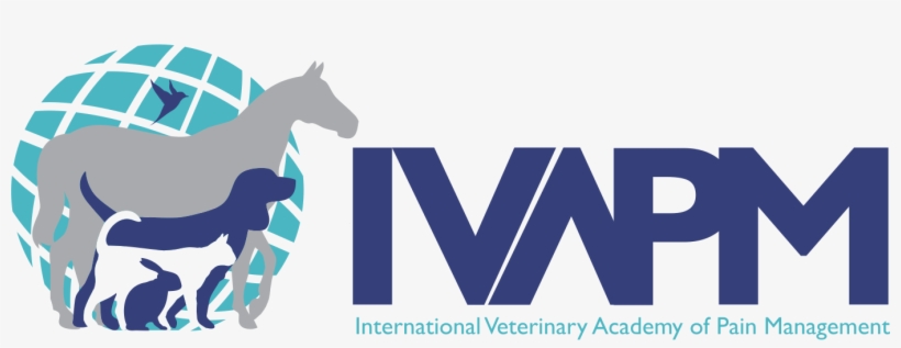 Final - Ivapm Logo, transparent png