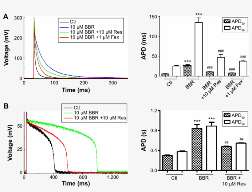 Reverse Effects Of Resveratrol And Fexofenadine On - Diagram, transparent png