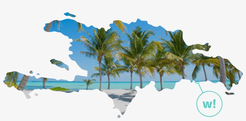 Dominican Republic - Roystonea, transparent png