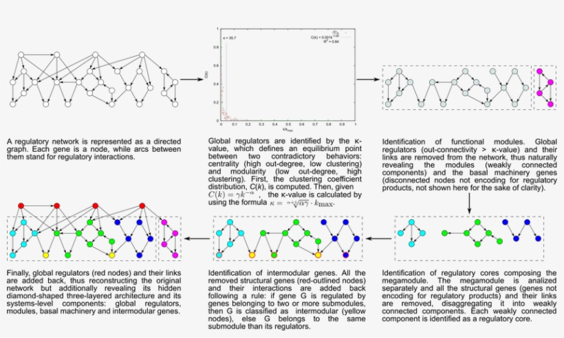 The Natural Decomposition Approach, transparent png