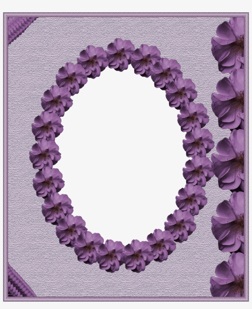 Necklace, transparent png