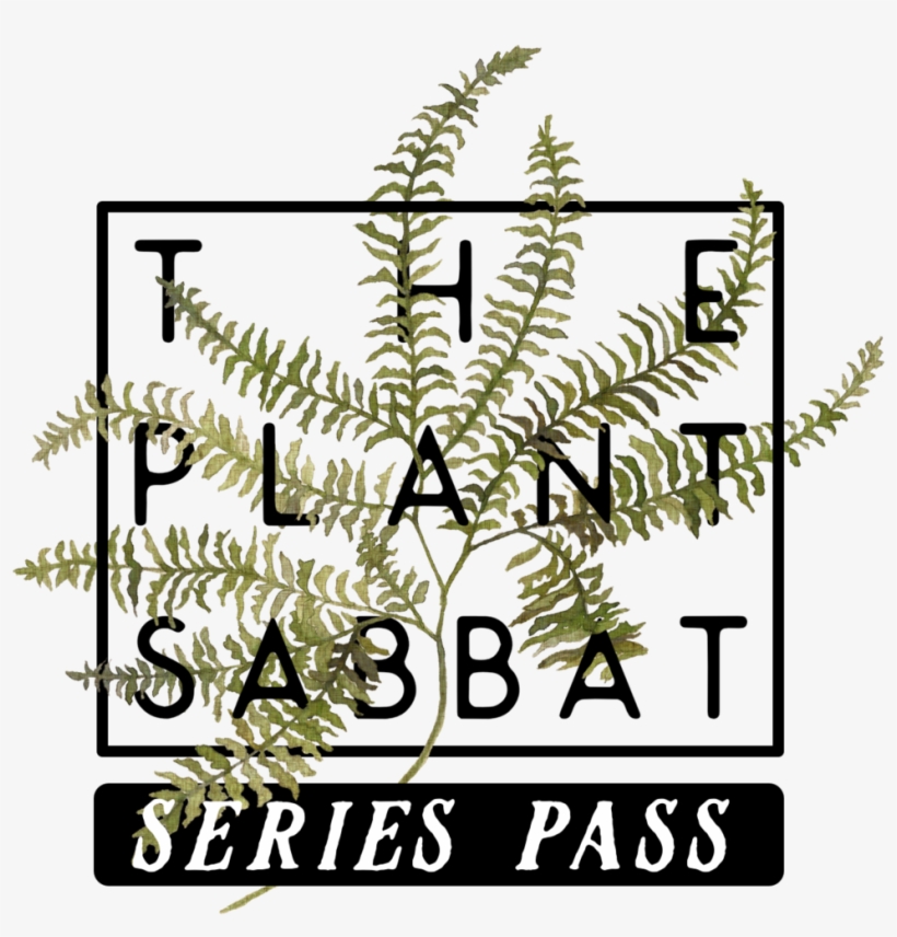 Plant Sabbat Series Pass, transparent png