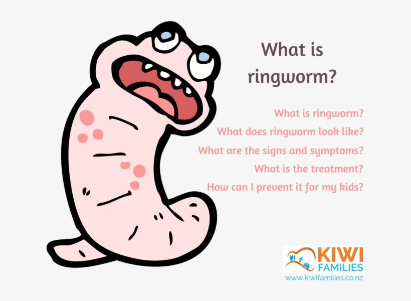 Ringworm - Ringworm One Year Old, transparent png