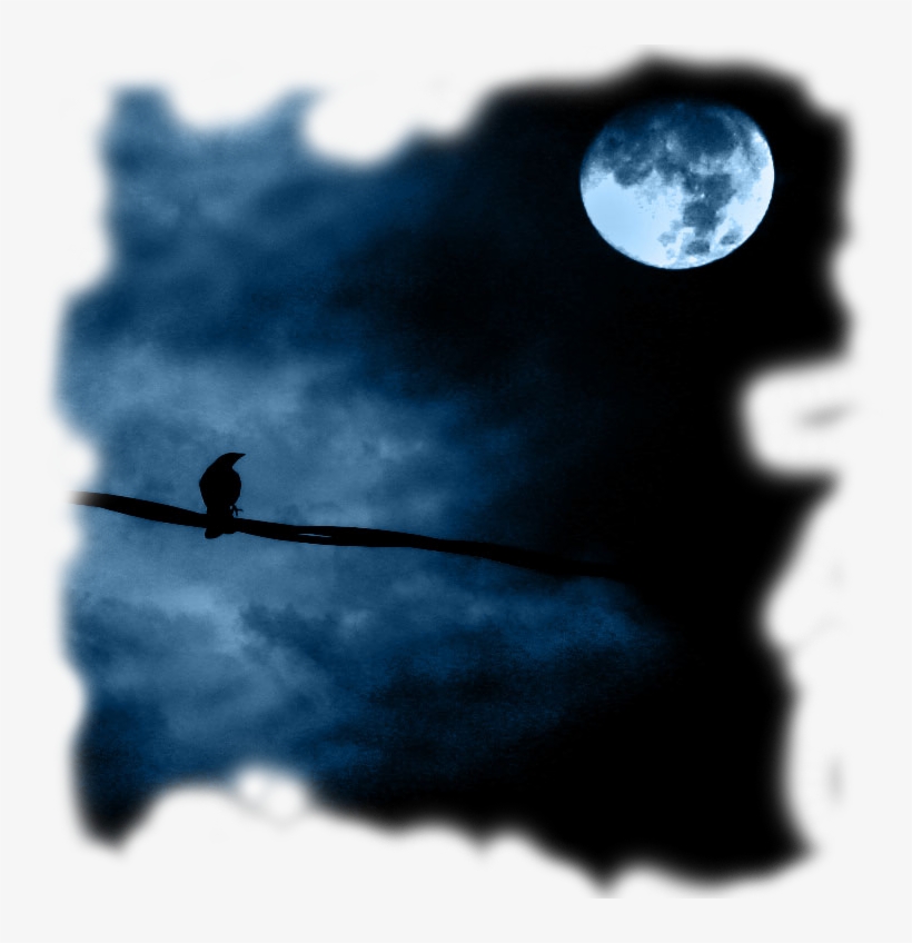 Zubair Siddiq - Good Night Allah Hafiz, transparent png