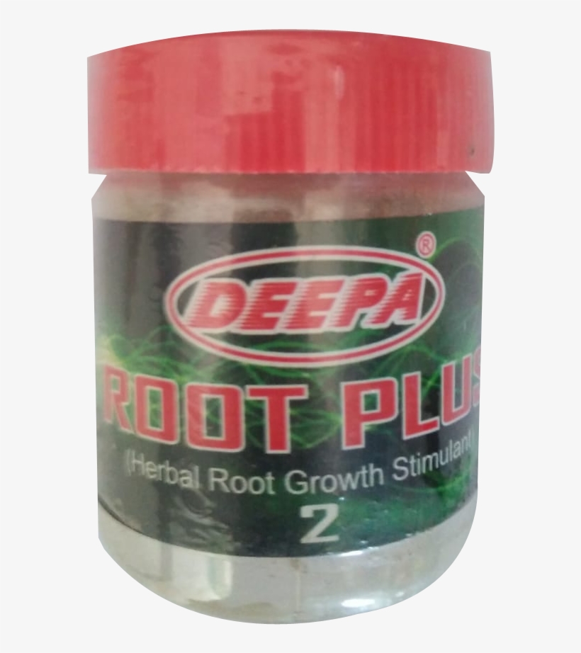 Root - Acrylic Paint, transparent png