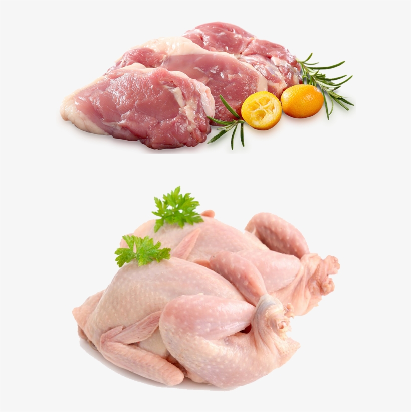 Image - Turkey Meat, transparent png