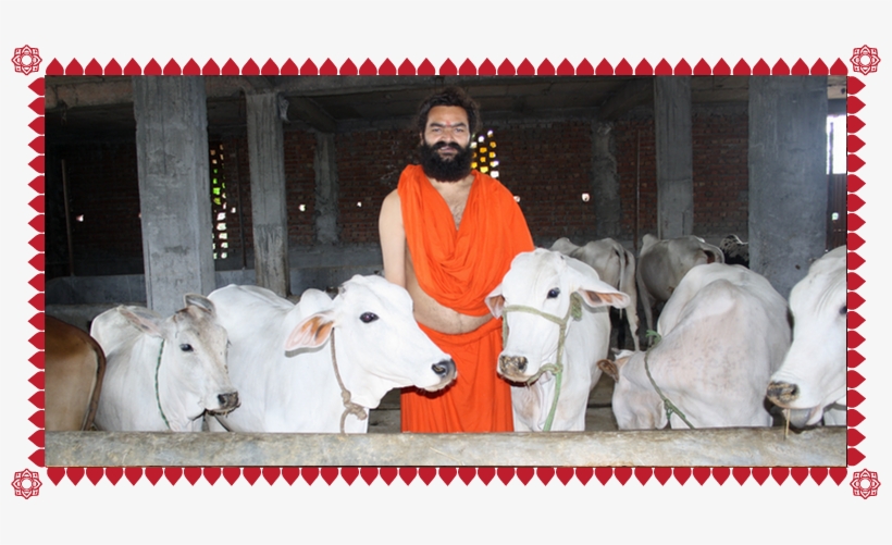 Support The Underprivilaged - Dairy Cow, transparent png