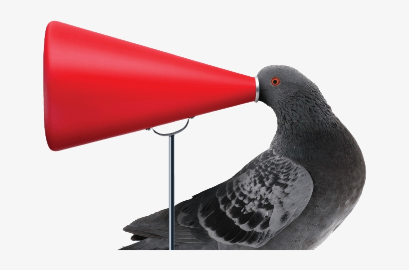 Join Now And Instantly Go Into The Draw To Win A $5000 - Stock Dove, transparent png