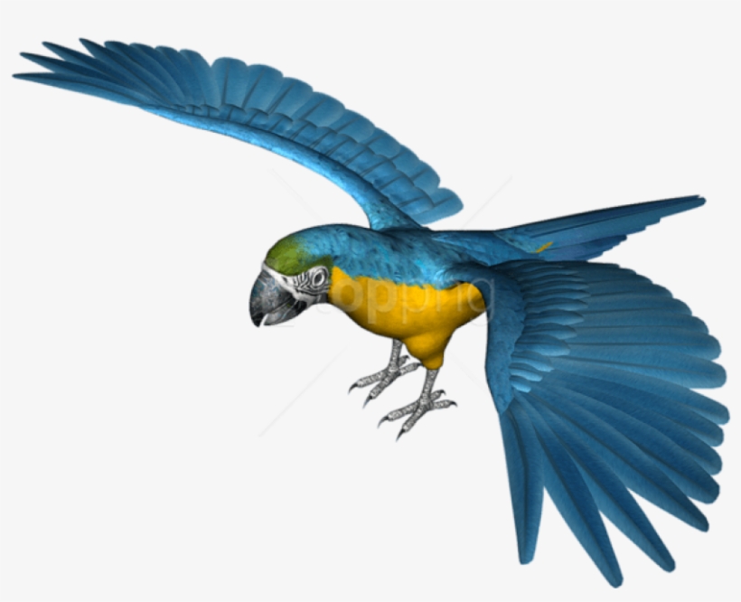 Free Png Large Blue Parrot Png Images Transparent, transparent png