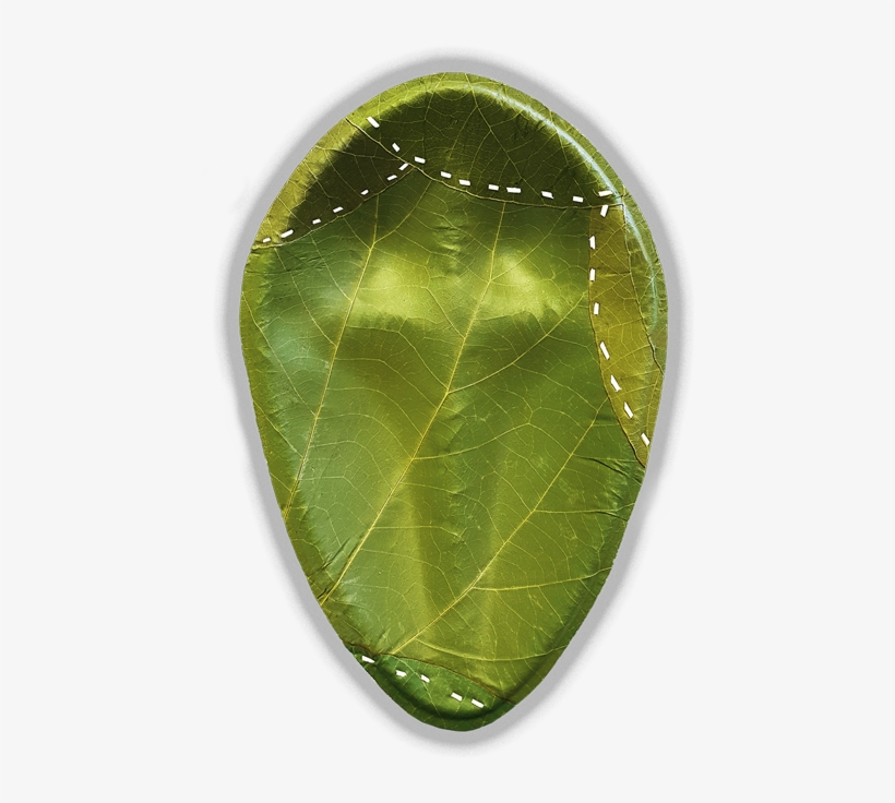 Picture Of Leaf - Crystal, transparent png