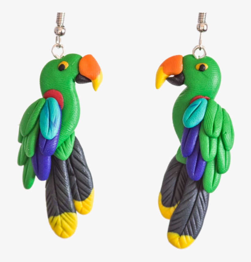 Earrings, transparent png