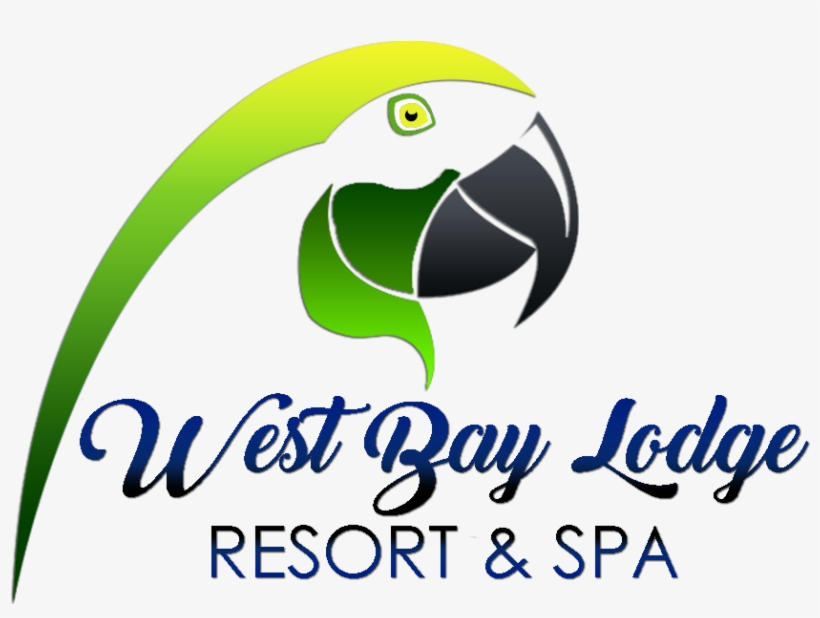 Logowebn Logowebn Logowebn Logowebn, transparent png
