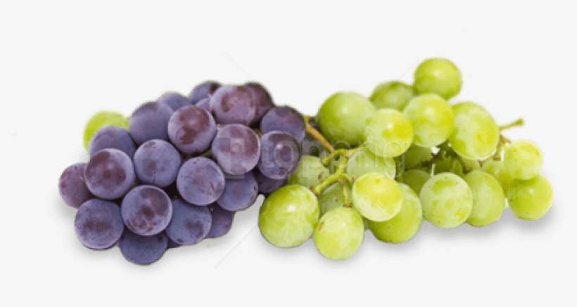 Free Png Transparent Grapes Png Png - Grape, transparent png