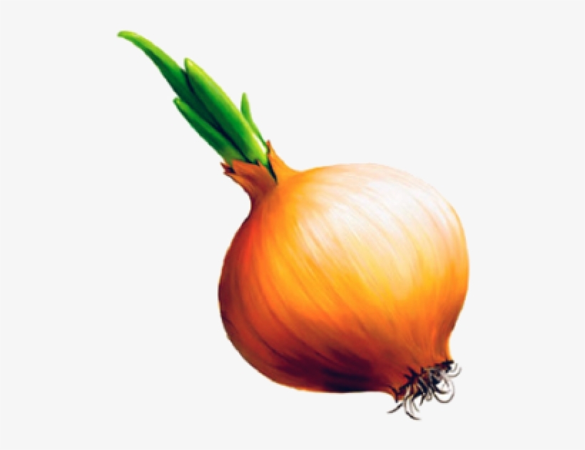 Onion Png Free Download - Детей Лук, transparent png