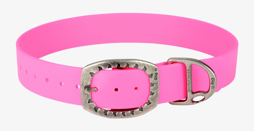 Buckle, transparent png