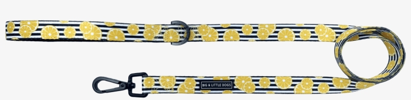 You're The Zest - Belt, transparent png