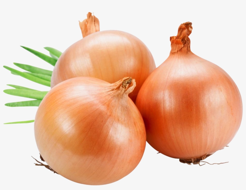Onion Png Image - Fresh Onions, transparent png