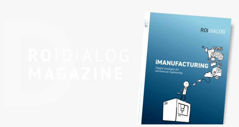 Roi Dialog Issue - Graphic Design, transparent png