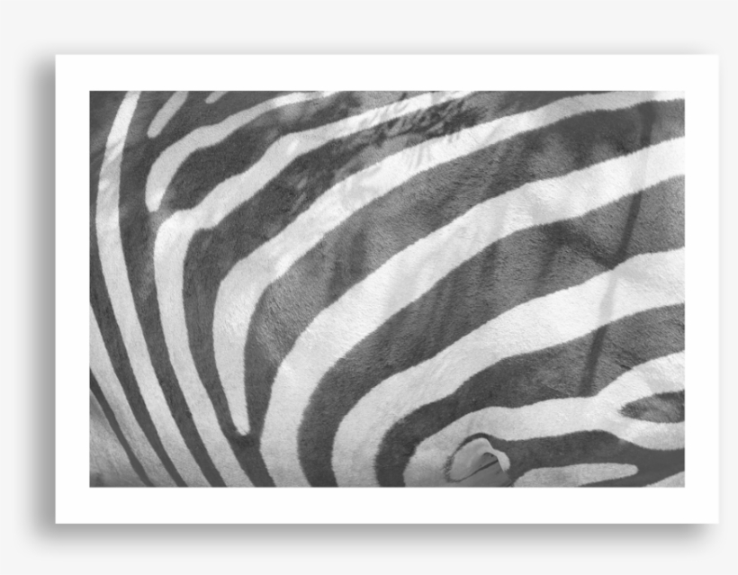 Monochrome, transparent png