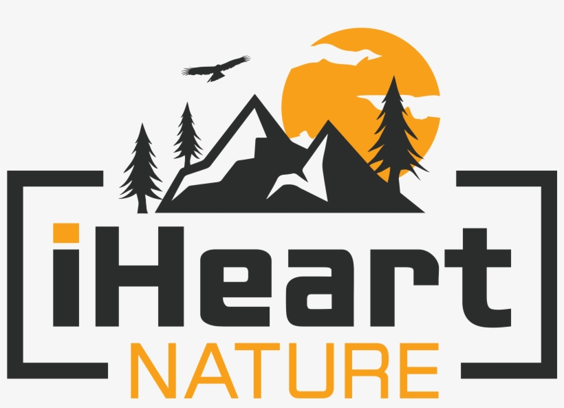 Graphic Design, transparent png