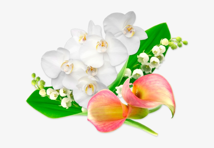 Orchid Lily Sticks - Artificial Flower, transparent png