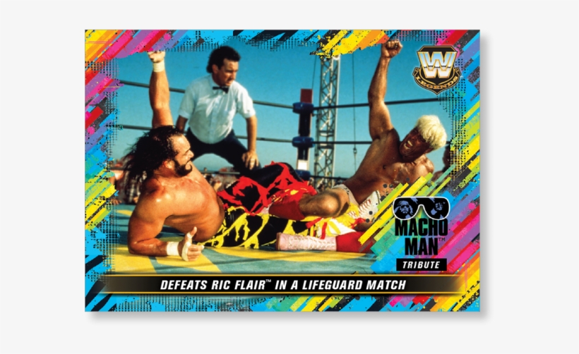 Gallery - Boxing, transparent png