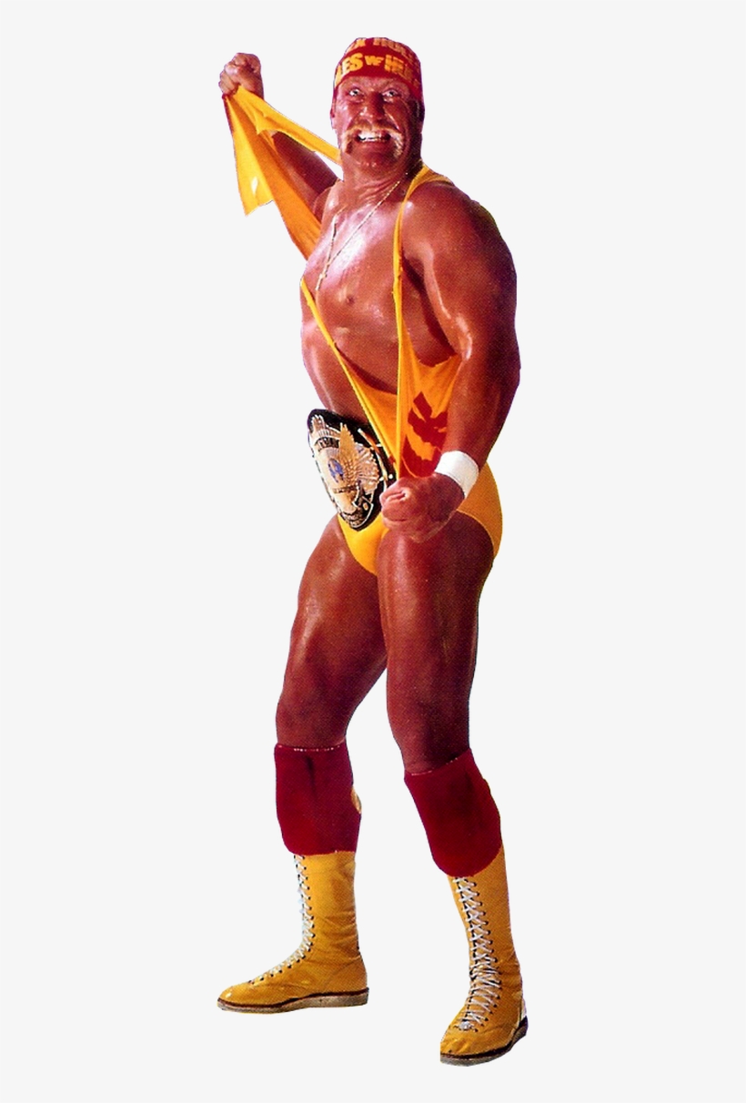 Seizing The Moment, Savage Climbed To The Top Turnbuckle, - Flash, transparent png