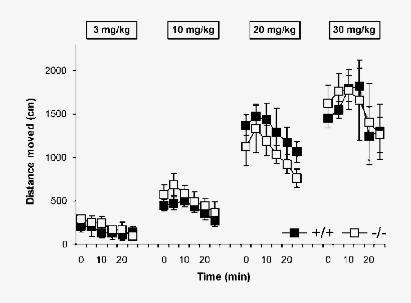 Acute Cocaine Induced Locomotor Activity For M Opioid - Diagram, transparent png