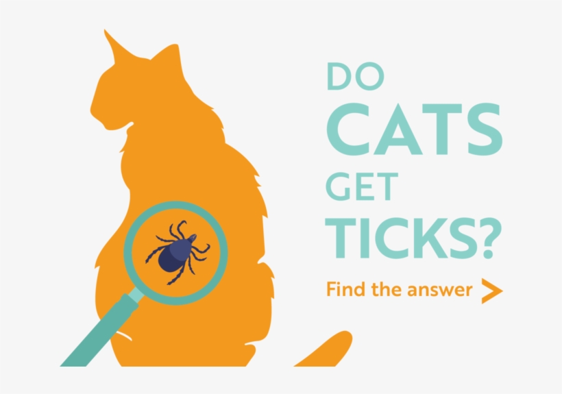 Do Cats Get Ticks Find The Answer - Cartoon, transparent png