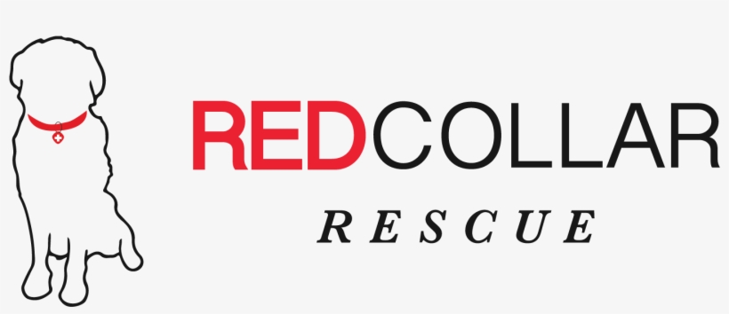 Redcollar Rescue Header Image - Carmine, transparent png