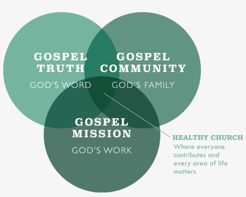We Are Saved To Jesus' Truth - Oc Health Care Agency, transparent png