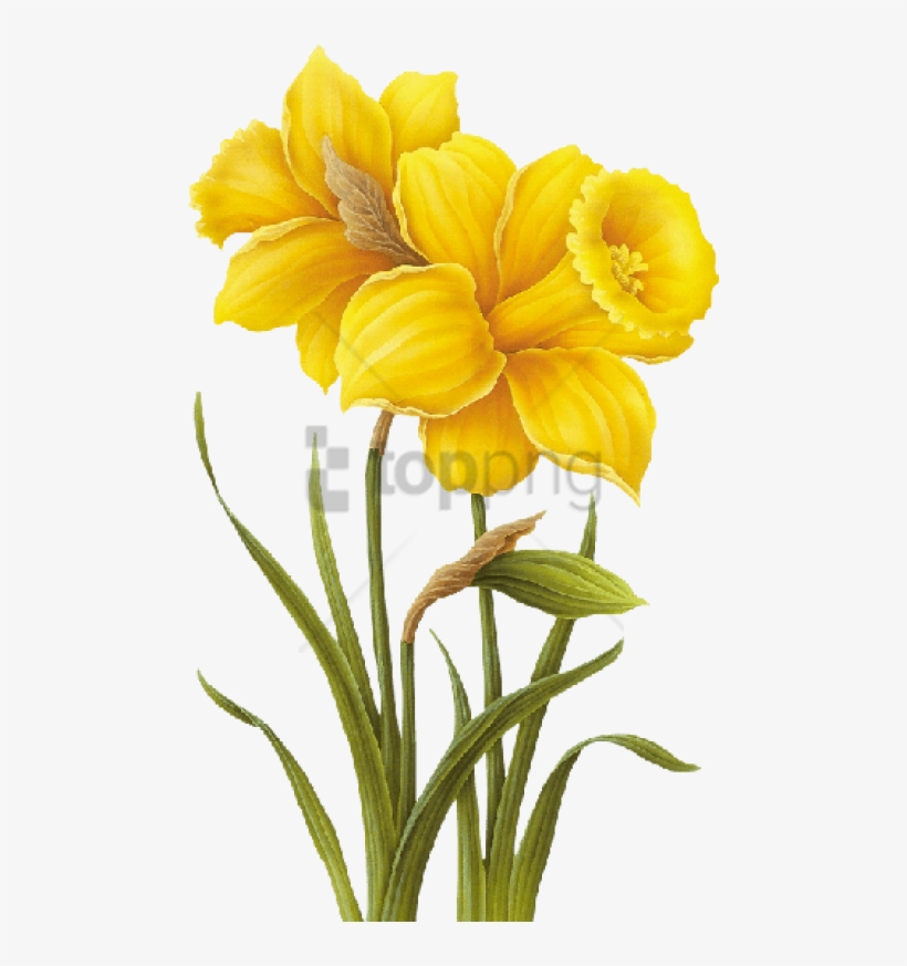 Free Png Yellow Flower Drawing Png Image With Transparent - Yellow Flower Drawing Png, transparent png