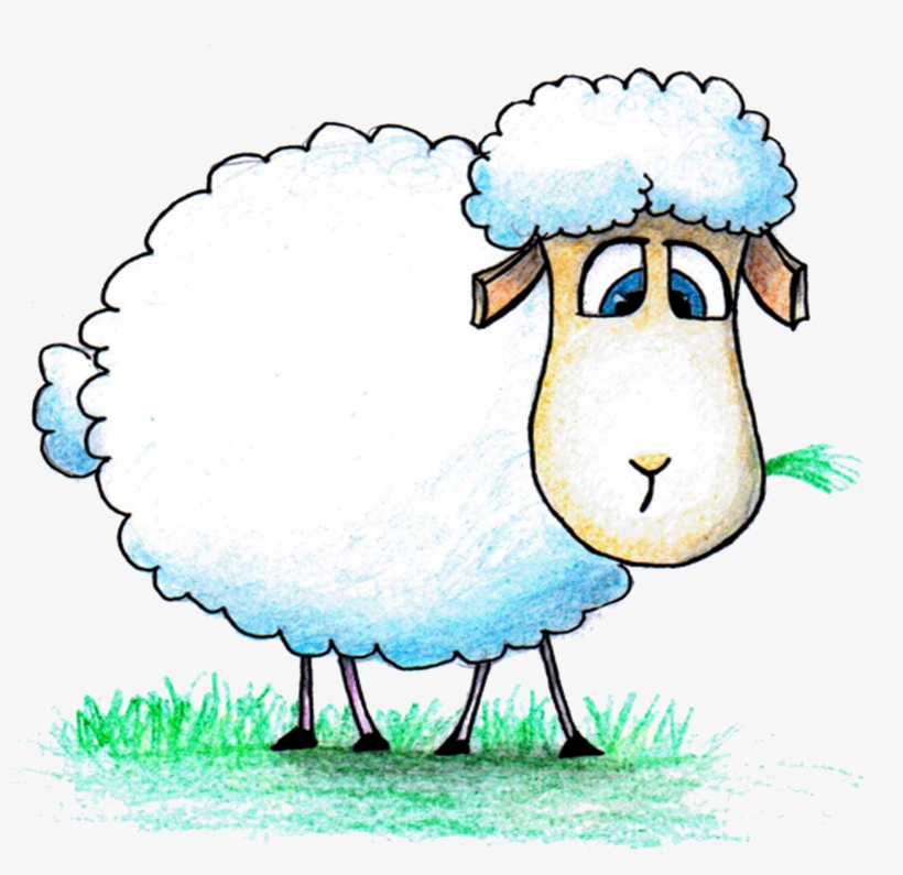 Paper Goat Al Drawing Transprent Aladha Png Ⓒ - Sheep, transparent png
