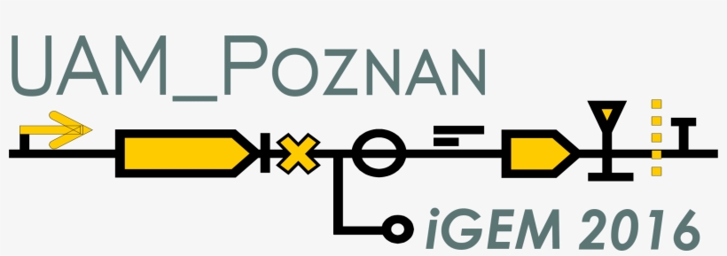 Logo - Graphic Design, transparent png