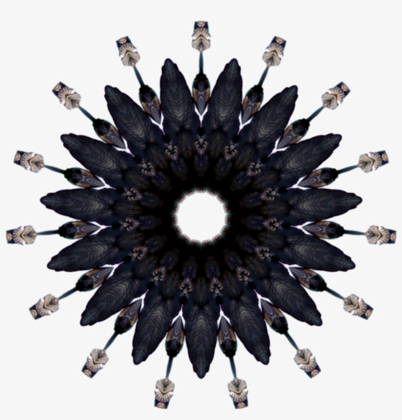 Sea Witch Of Gypsy Cove - Feather Circle, transparent png