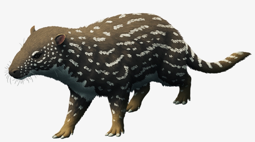 Tumblr P3o8rwlh9j1s5f2yxo1 1280, transparent png