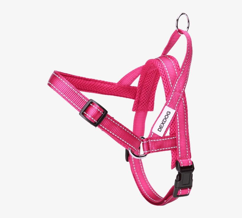 How To Fit Dog Harness - Pet Harness, transparent png
