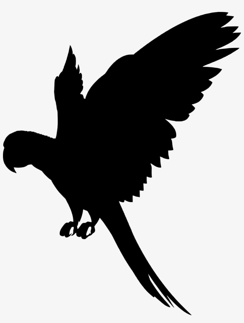 Vector Graphics, - Flying Parrot Silhouette - 1005x1280 PNG Download