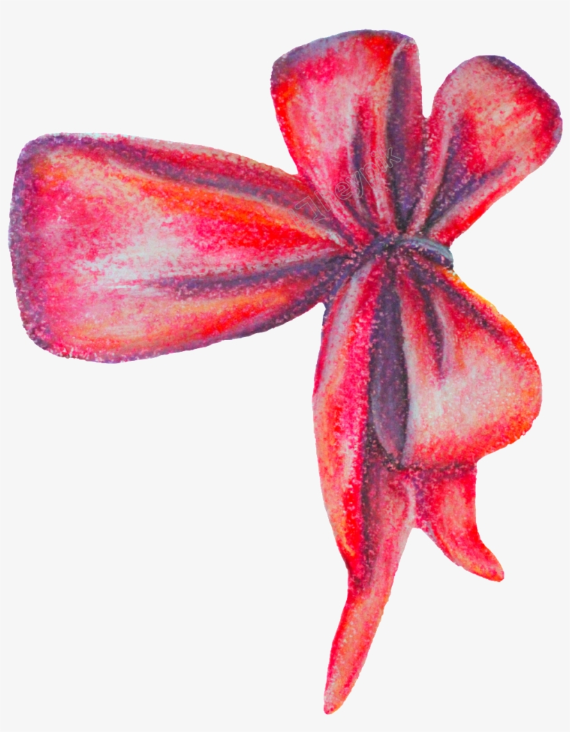 1024 X 1232 3 - Lily, transparent png
