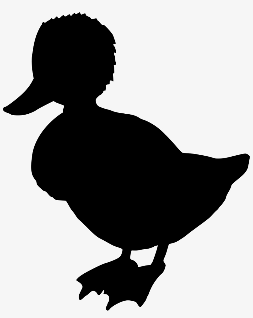 Download Png - Duck, transparent png