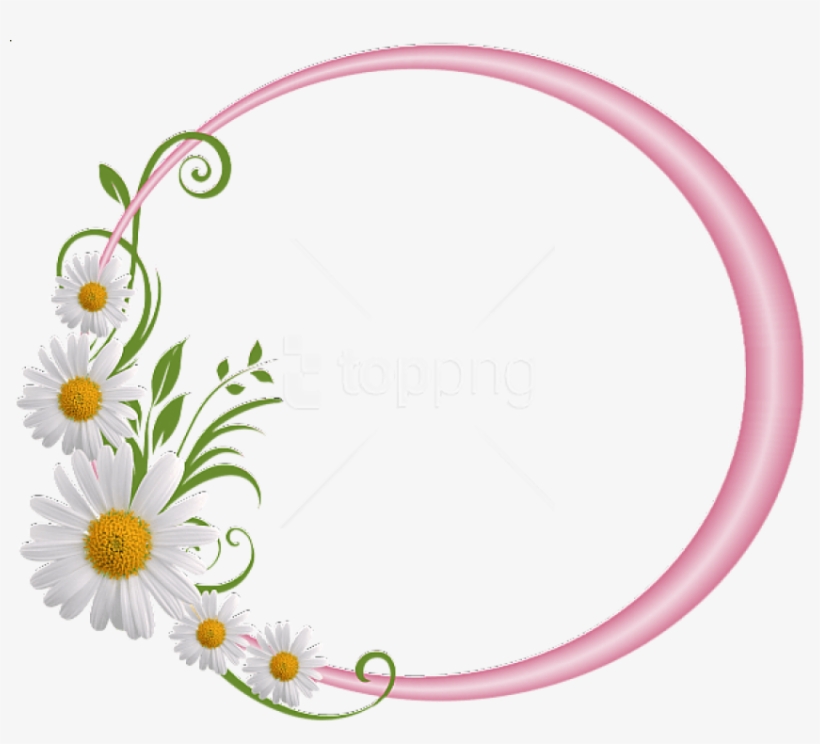 Free Png Best Stock Photos Pink Round Frame With Daisies - Floral Round Frame Png, transparent png