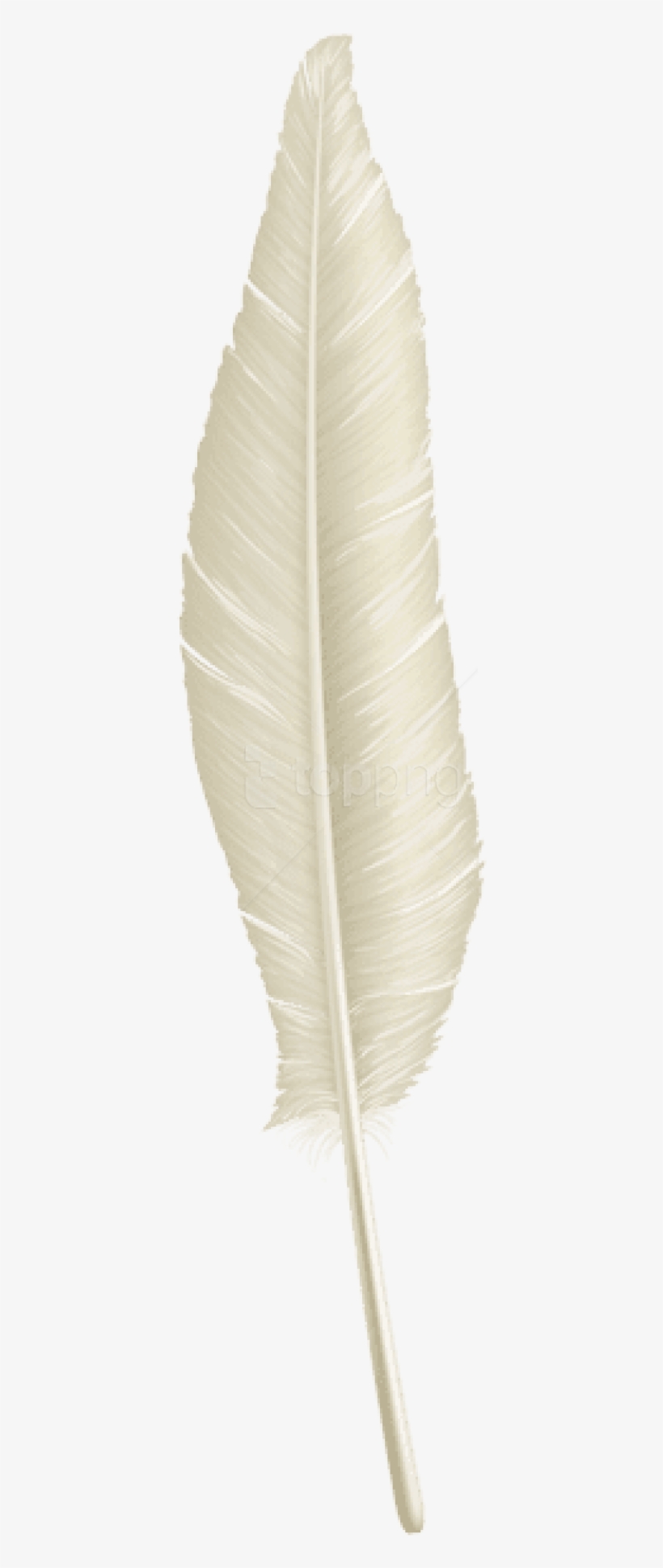 Free Png Download White Feather Transparent Clipart - Thread, transparent png