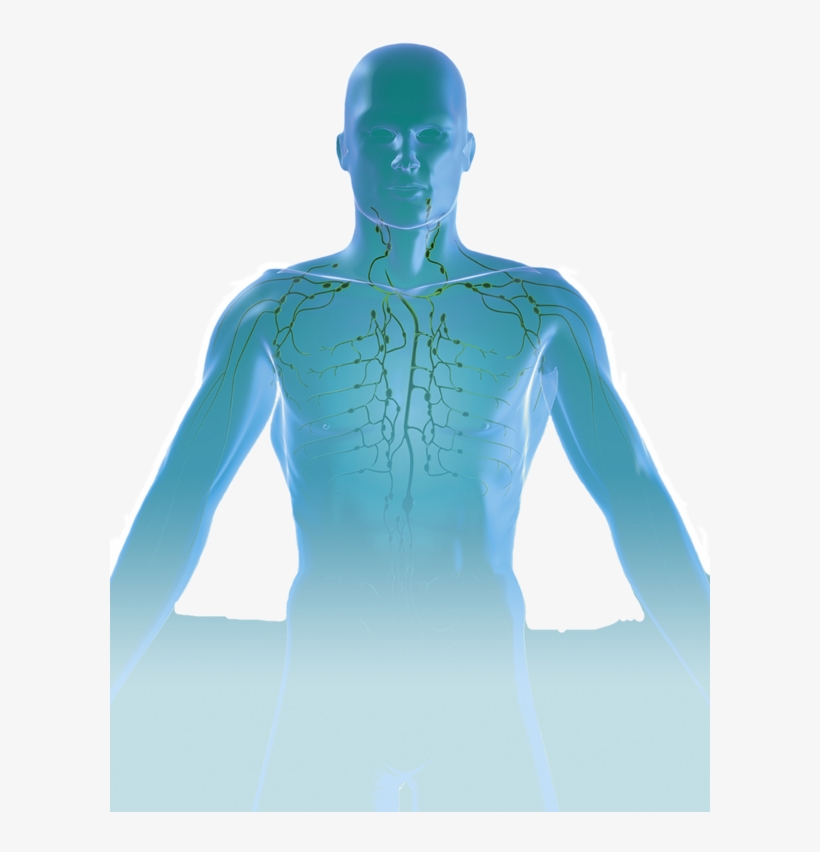 Transparent Humanoid Figure - Man, transparent png