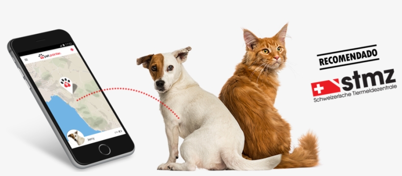 Petpointer Gps Tracking - Pet, transparent png