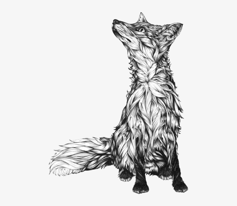 Tattoo Drawing Illustration Idea Download Hq Png - Black And White Fox Drawing, transparent png