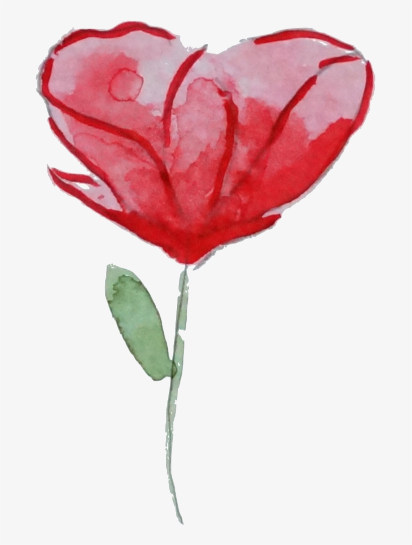 Flower Garden Roses Watercolor Painting Poppy Clip - Garden Roses, transparent png