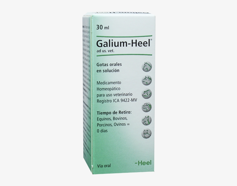 Galium Heel Vet Gotas 30 Ml - Heel, transparent png