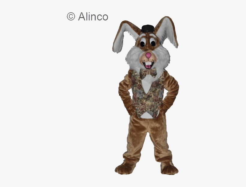 Harvey Rabbit Mascot Costume - Bagoloni, transparent png