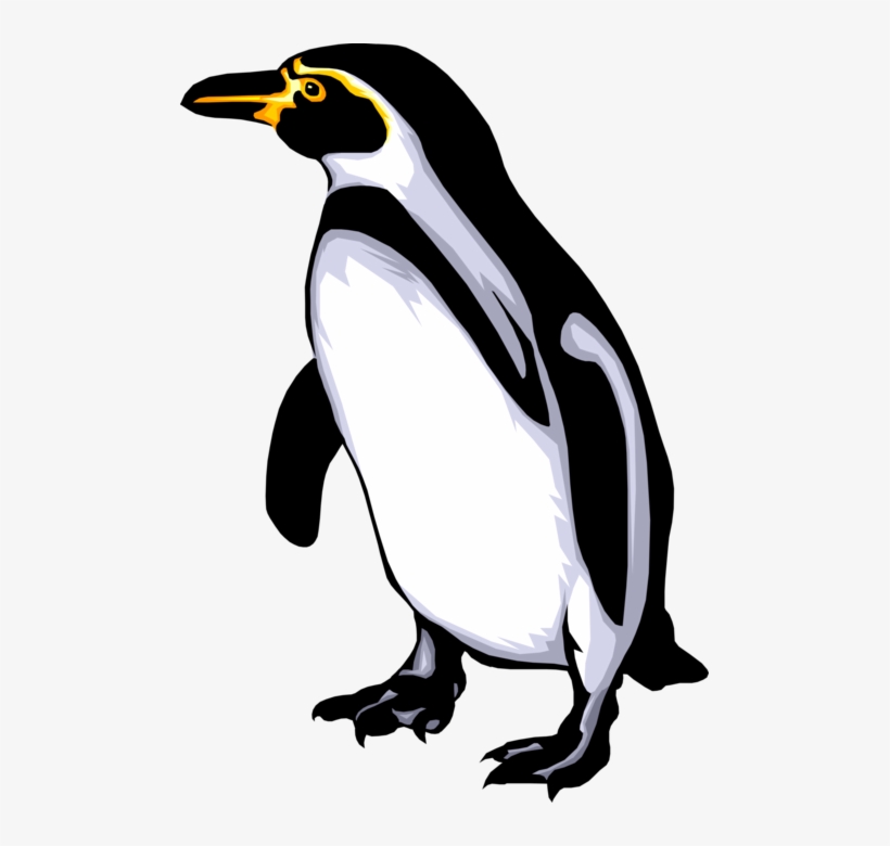Svg Black And White Flightless Bird Waddles On Ice - Body Penguin Parts, transparent png