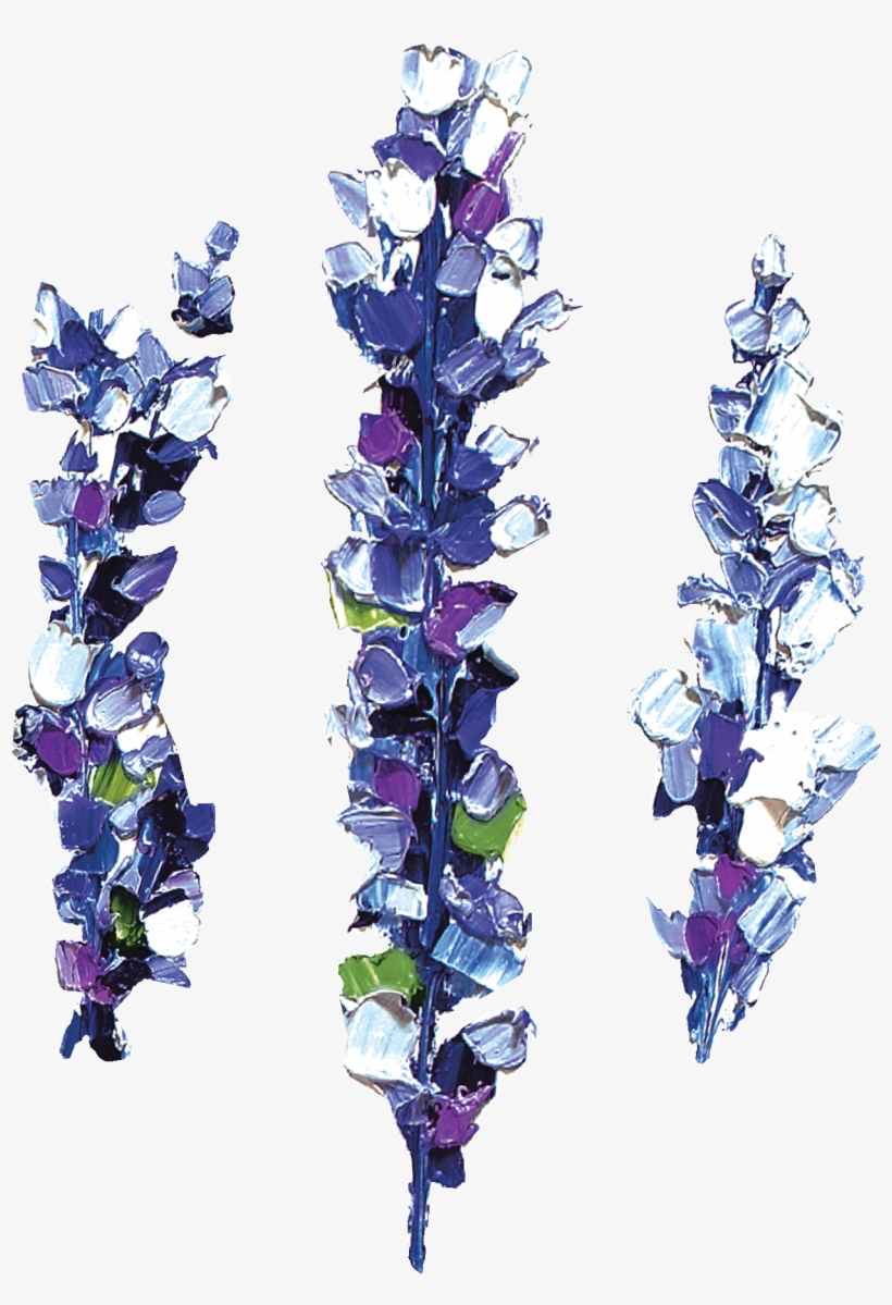 Lavender - Лаванда Пнг, transparent png